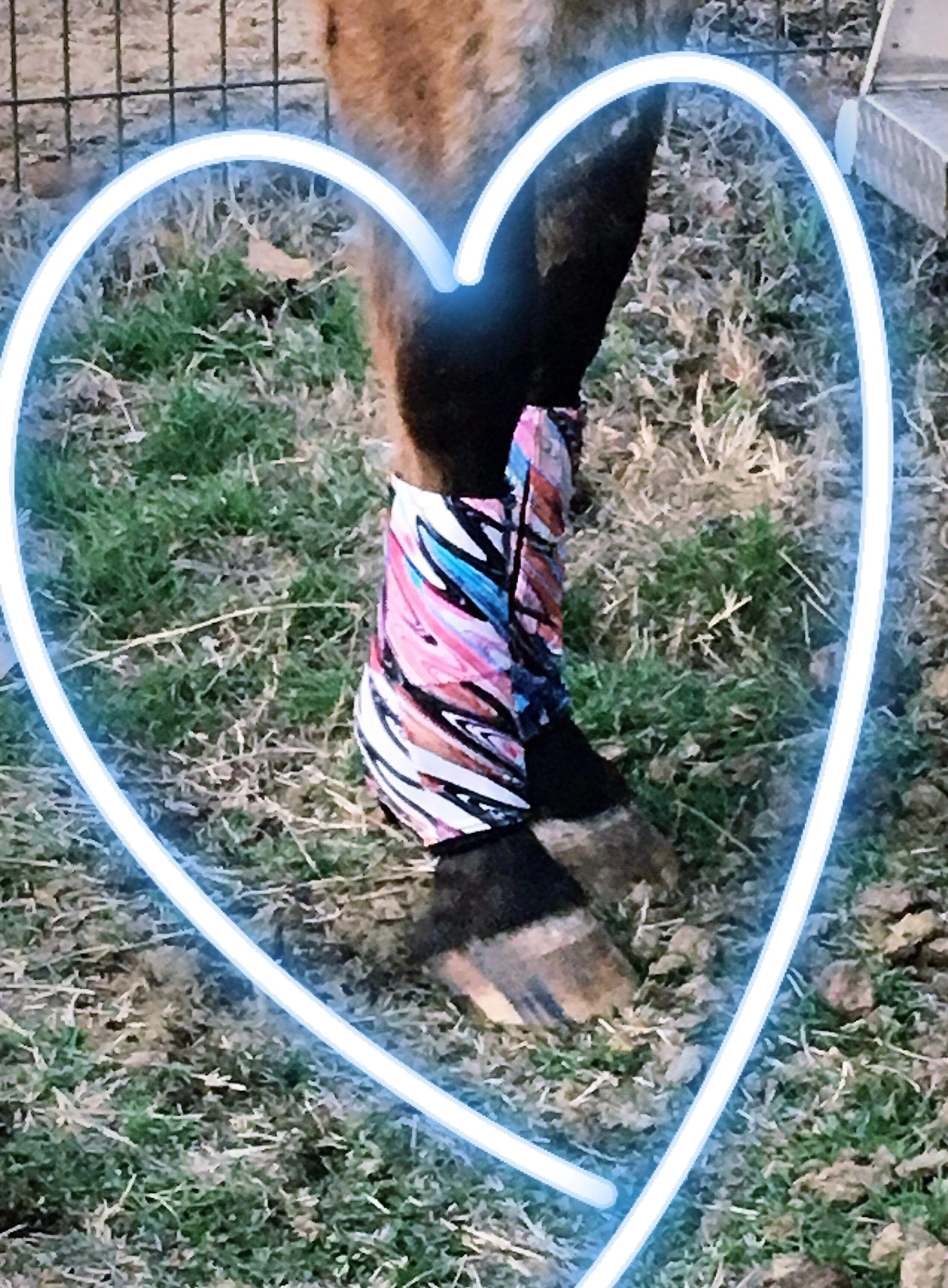Sundial Coordinating Boot Covers (Custom)